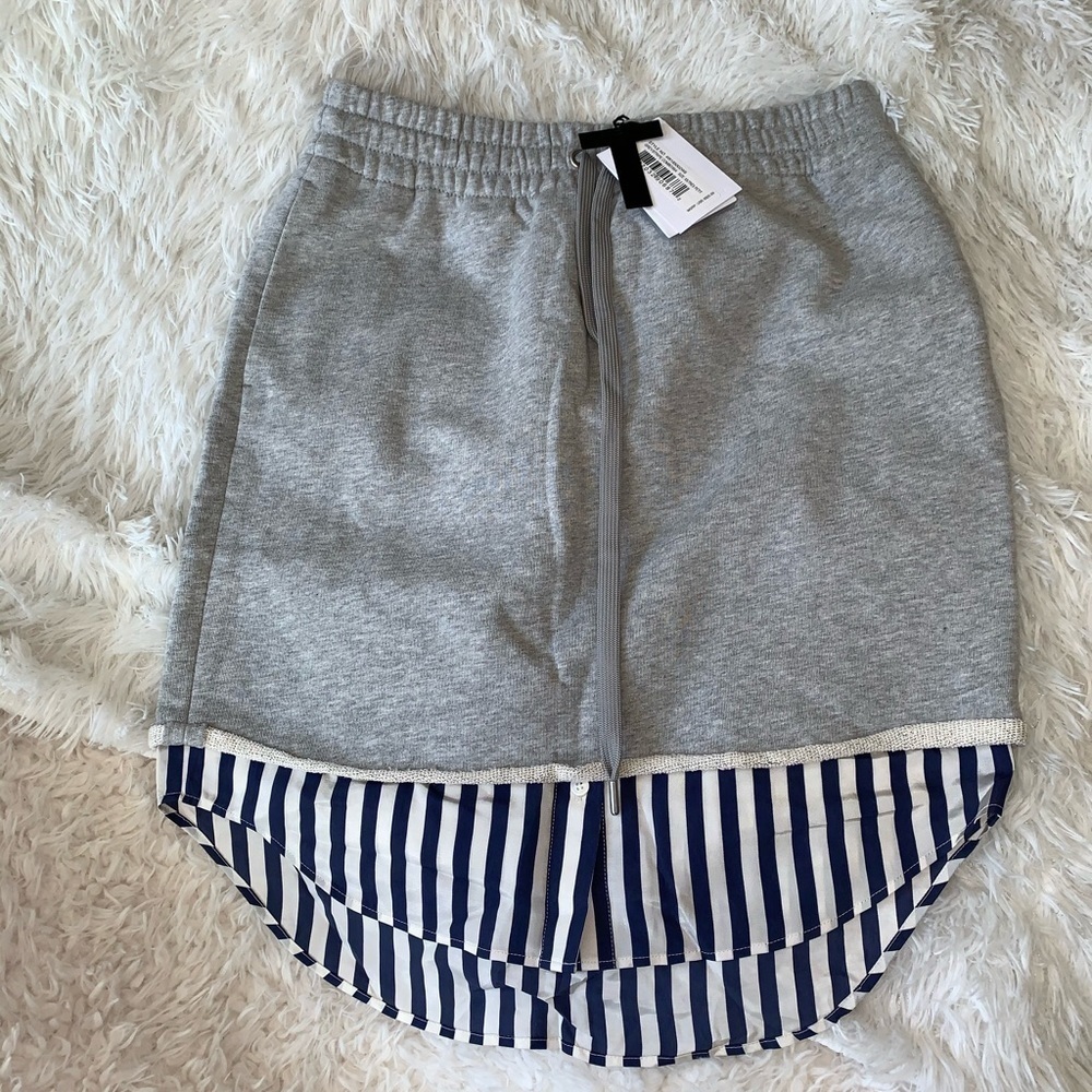 Alexander Wang Gray and Blue Striped Skirt
